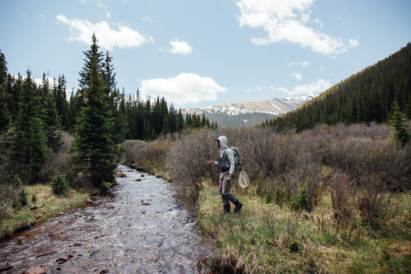 Fly fishing by a stream in a mountainous forested area