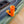 Orange clip attached to a green kayak side with cup holders.