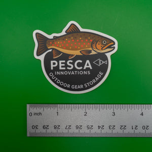 Brown trout and 'PESCA Innovations' sticker on a green background, accompanied by a ruler for scale, 3 inches wide